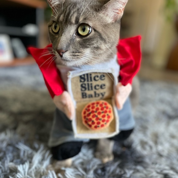 Pizza Delivery Costume with Red Hat for Cat or Dog Size Small - Picture 2 of 2